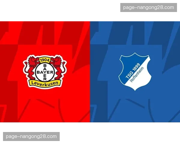 霍芬海姆边卫卡德拉贝克赛季报销,俱乐部紧急寻找替代者 霍芬海姆边卫卡德拉贝克赛季报销,俱乐部紧急寻找替代者